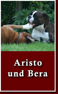 zur Galerie von Aristo und seiner Freundin Bera